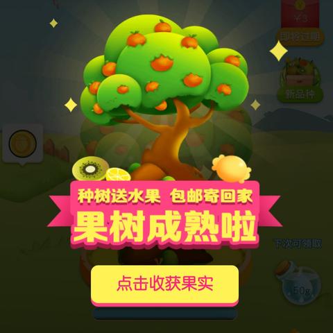 多多果园最新答案揭秘，虚拟果园中的乐趣与智慧探索