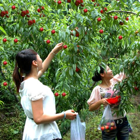 厦门观音湖拍照攻略，捕捉绝美瞬间