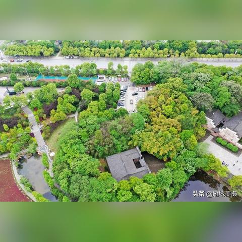 探索自然生态之美，清浅池塘头条新闻独家呈现
