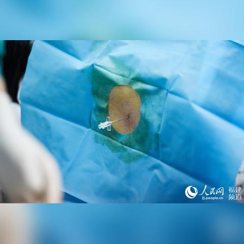 福建不锈钢软管公司排名揭秘，行业影响力深度探讨