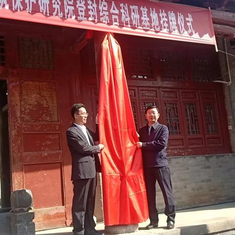 登封别墅市场主力军解读，公司排名与别墅市场概览