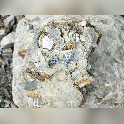 江油马角最新新闻头条，探寻地方发展脉搏