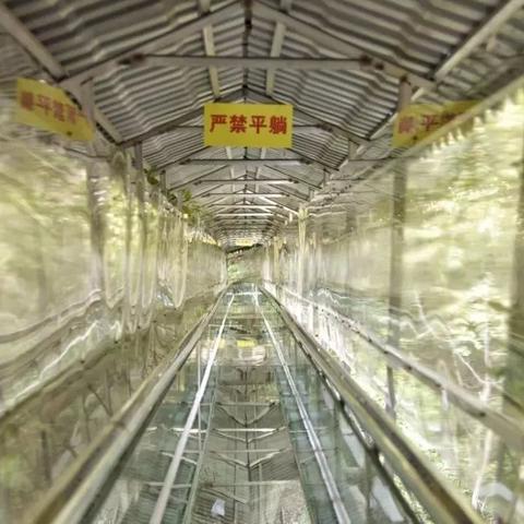 古城神秘鬼影探秘，独家旅游攻略