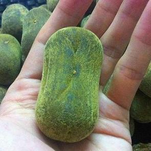 揭秘化橘红，传统药材的奥秘与神奇效应探索