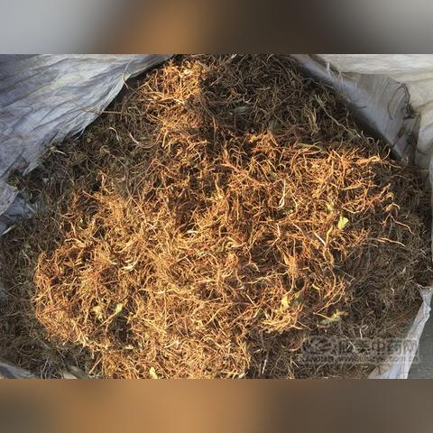 紫菀最新价格行情分析，今日价格查询与走势解读
