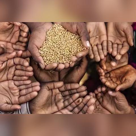 乌克兰在全球粮食生产中的地位揭秘，世界产粮大国排名解析