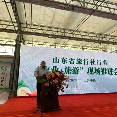 莘县最新动态，县域发展聚焦，新闻头条速递