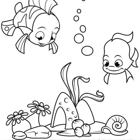 揭秘海底世界最调皮动物的魅力排名！