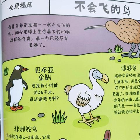 2025年6月26日 第4页