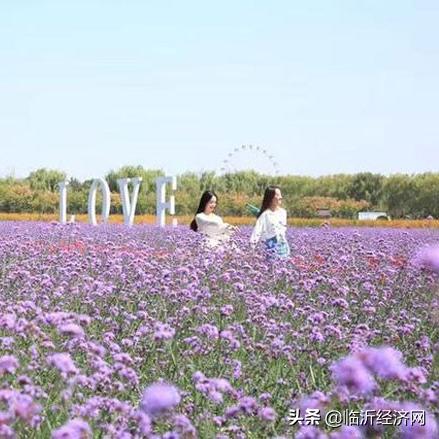 临沂火车出游攻略，一站式指南助你畅游目的地！