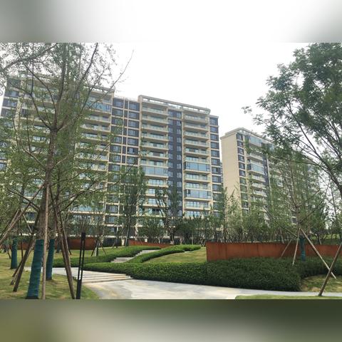 今日房产市场深度解析，最新动态、投资热点与购房指南