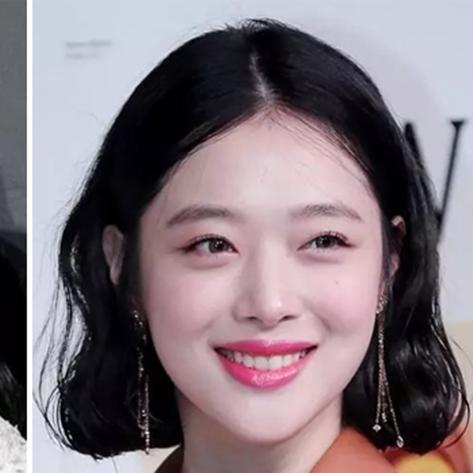 百度收录，聆听画眉鸟歌声，探索自然之声的美妙旋律