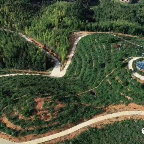 新旧世界红酒大比拼，探寻葡萄酒世界的璀璨明珠排名