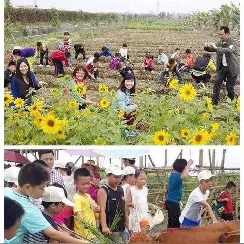 东莞垂钓胜地，钓鱼塘前十名榜单，垂钓爱好者的梦幻天堂！