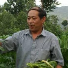自来水劳务公司排名揭秘，行业影响力深度解读