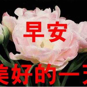 励志经典语录唤醒心灵力量，激发无限潜能与斗志！