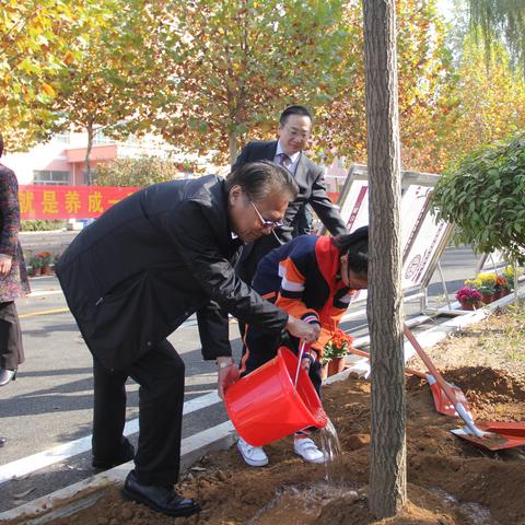 平邑小学前十名榜单揭晓，优质教育之光闪耀的璀璨明珠