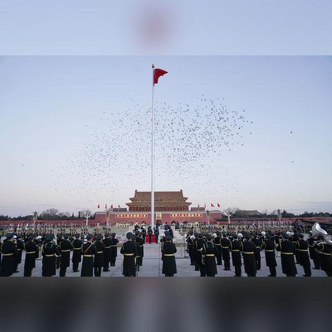 白鸽励志语录，翱翔人生的蓝天梦想，成就无限可能！