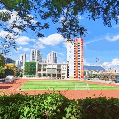 深圳旅游住宿指南，探索最佳住宿方式，轻松畅游深圳！