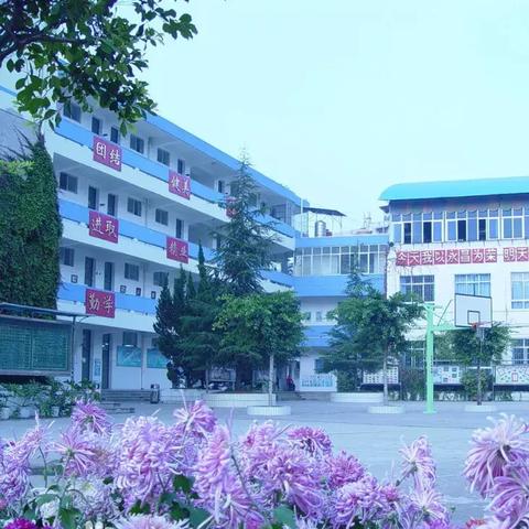 昆明十大顶尖小学盘点，教育质量、特色课程及未来展望