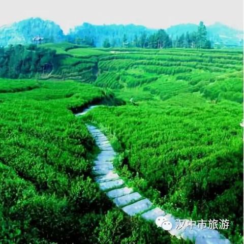 汉中春游诗意探索，攻略带你畅游远方美景