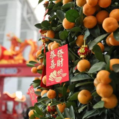 揭秘小蛮腰与生肖的神秘关联——探寻生肖之旅