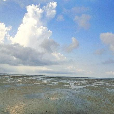 广西赶海高铁攻略，最新指南带你畅游海滨之旅