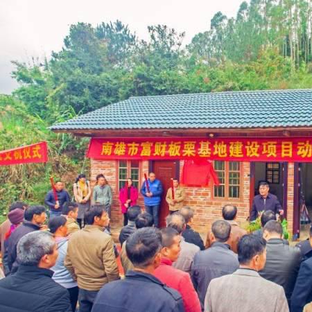 南雄最新投资项目亮相，点燃城市经济发展新引擎