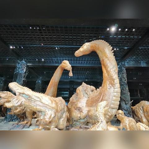 开化清明踏春赏花攻略，探访古韵景点，畅游花海尽享春光！