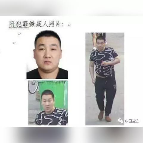 漯河法治新闻聚焦，城市法治建设的坚实步伐