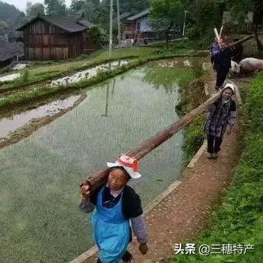 探索虎庄的神秘与美丽，一份详尽旅游攻略