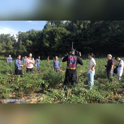 盐亭新闻直播，捕捉最新动态，传递地方声音