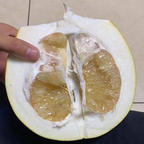 柚子励志语录，探寻生命力量，智慧启示之旅