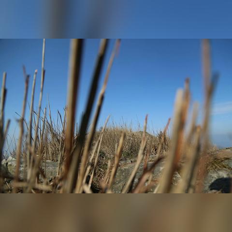 小乌龟的世界探秘，百度指引下的奇妙旅程