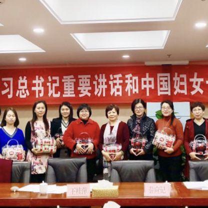 精灵传说前期阵容攻略大全，轻松启程，新手必备指南！