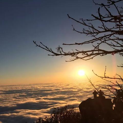 自驾峨眉山，探寻神秘仙境的终极攻略