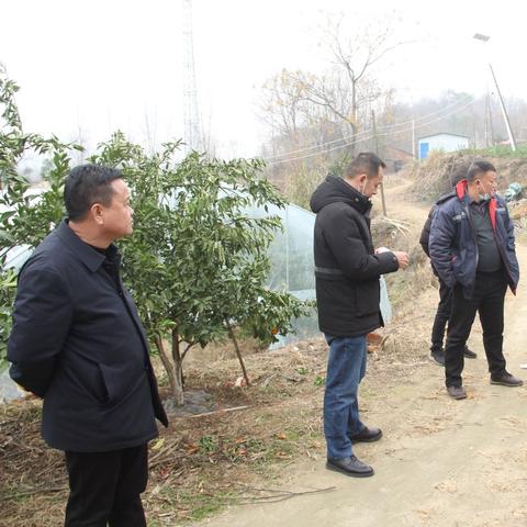 揭秘阳新天气秘密，掌握未来气象变化，只需百度一下！