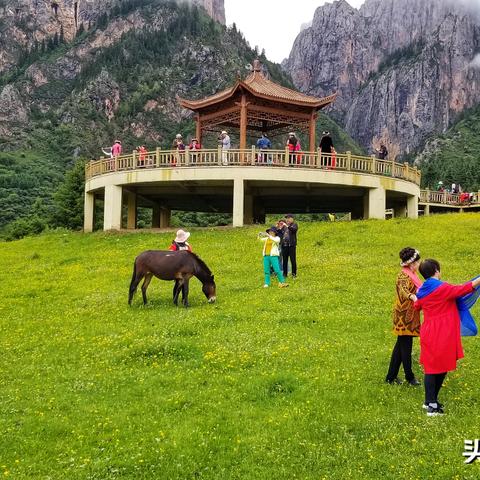 青海导航模块公司排名揭晓，行业领军者的崛起与竞争格局深度解析