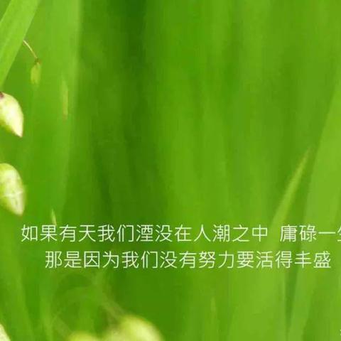 励志人生，探寻内心力量源泉，感悟人生哲理语录